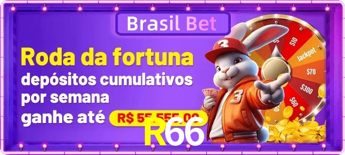 R66