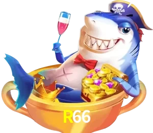 R66